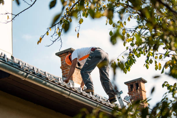Best Flat Roof Repair Services  in Bensley, VA