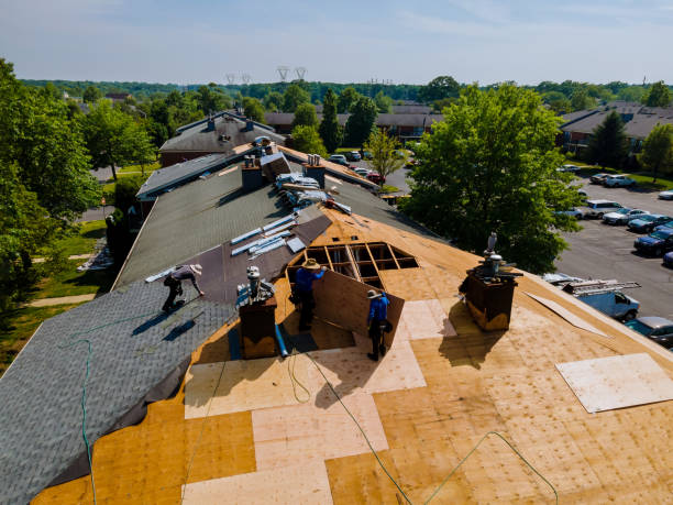 Professional Roofing Contractor in Bensley, VA