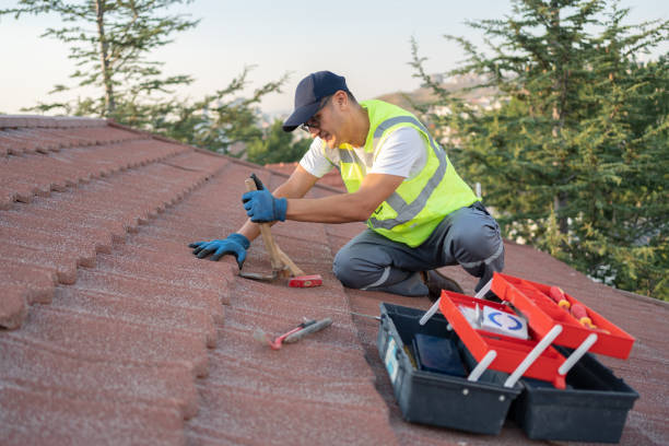 Best Gutter Installation and Roofing  in Bensley, VA